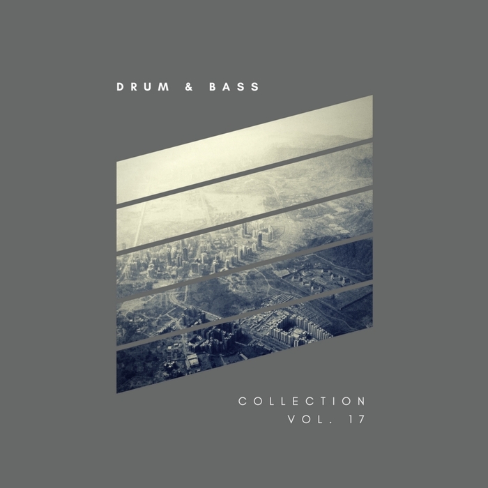 VARIOUS - Sliver Recordings/Drum & Bass Collection Vol 17