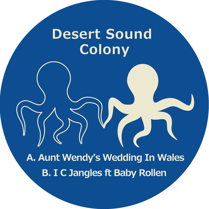 Desert Sound Colony Aunt Wendys Wedding In Wales