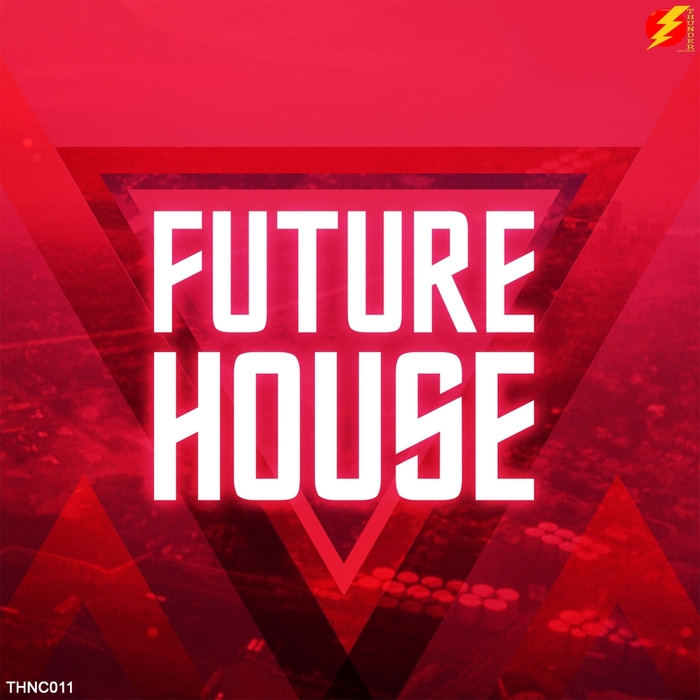 VARIOUS - Future House