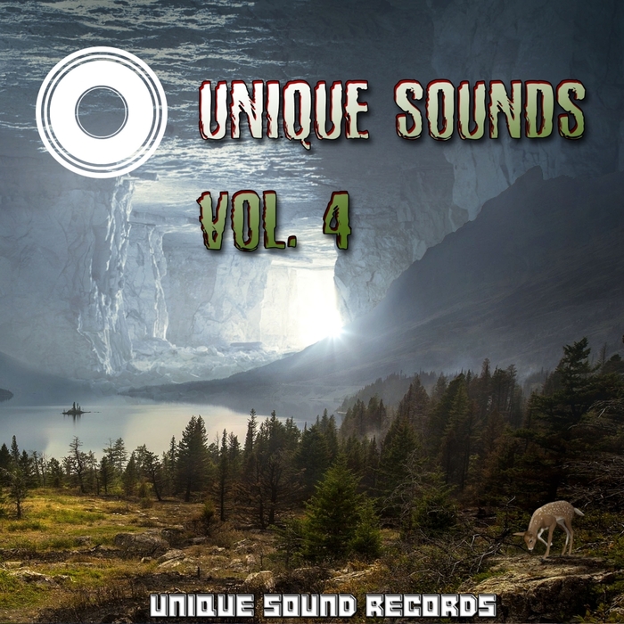 VARIOUS - Unique Sounds Vol 4