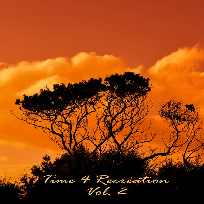 VARIOUS - Time 4 Recreation Vol 2