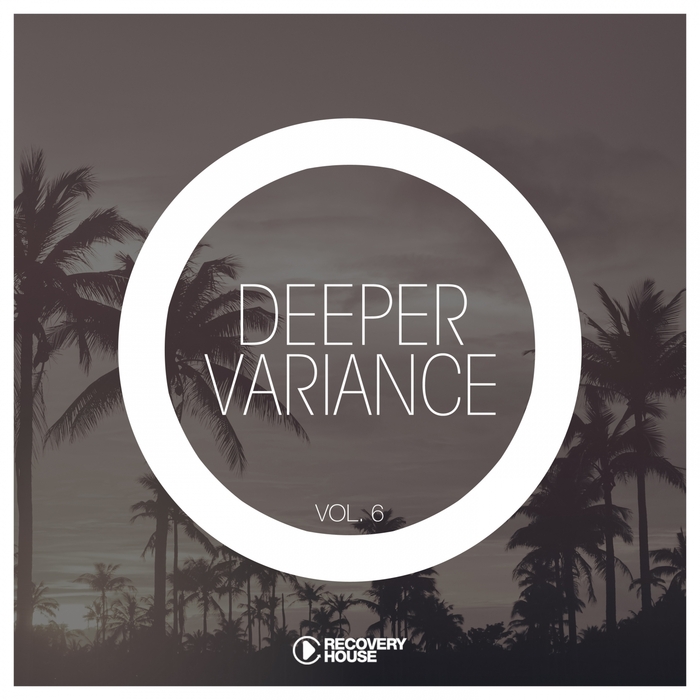 VARIOUS - Deeper Variance Vol 6