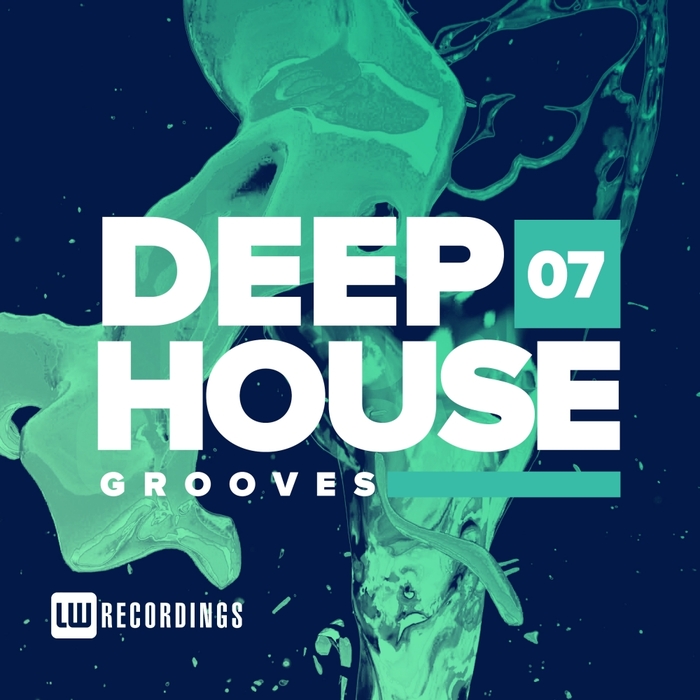VARIOUS - Deep House Grooves Vol 07