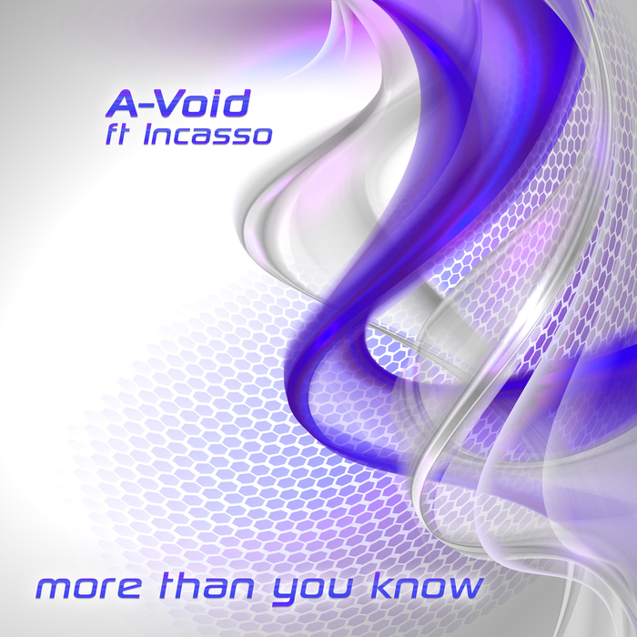 A-VOID feat INCASSO - More Than You Know