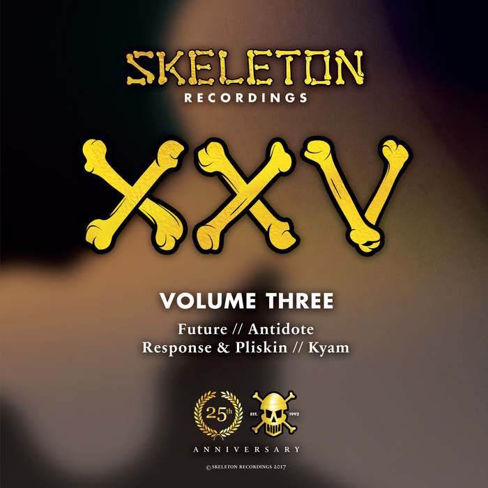 FUTURE/ANTIDOTE/RESPONSE/PLISKIN/KYAM - XXV Project Volume Three