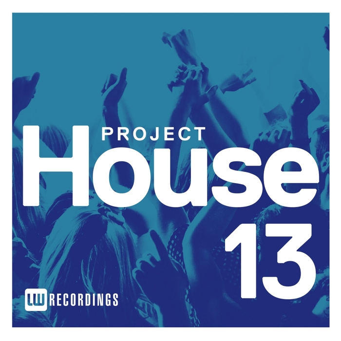 VARIOUS - Project House Vol 13