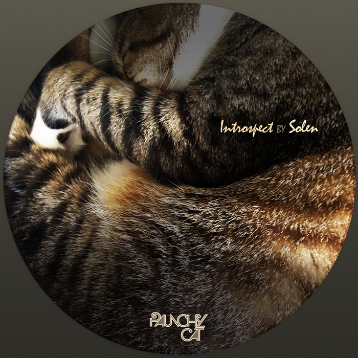 SOLEMN - Introspect EP