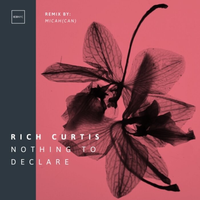 RICH CURTIS - Nothing To Declare