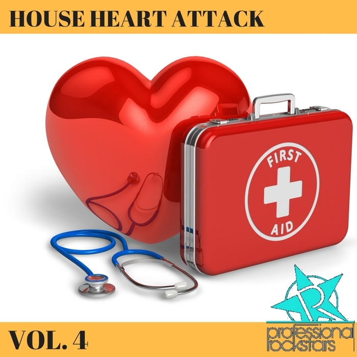DJ BALOO/JOACHIM J/TRIBAL INJECTION/ROCKSTAR/VOL SIX/DEPHUNK - House Heart Attack Vol 4