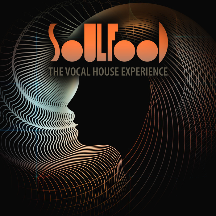 VARIOUS - Soulfood/The Vocal House Experience