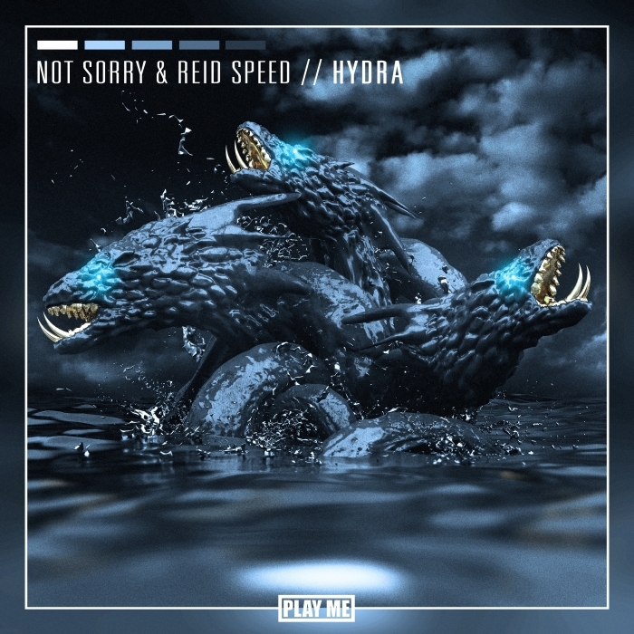 NOT SORRY/REID SPEED - Hydra