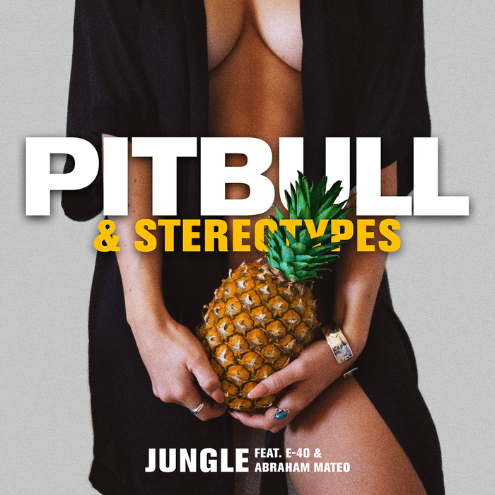 PITBULL/STEREOTYPES - Jungle