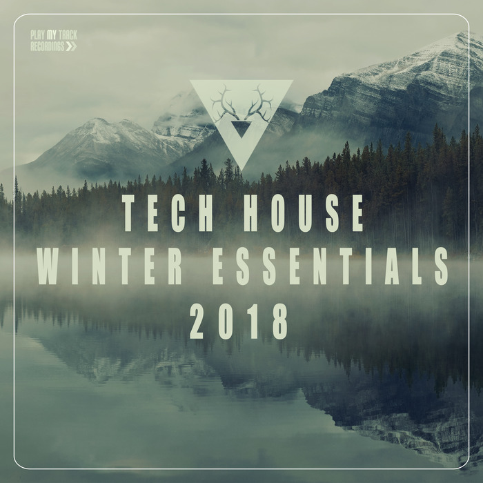 VARIOUS - Tech House Winter Essentials 2018