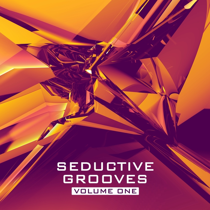 VARIOUS - Seductive Grooves Vol 1: Nu Disco House Sounds