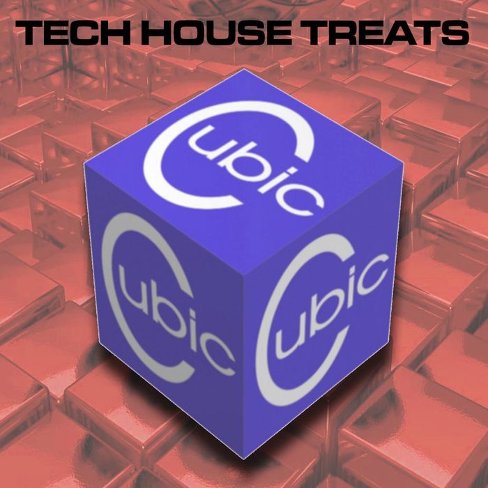 TONY THOMAS/GORDON TRUEROCK/VORTEX/SYNAPTIC/SOUNDSCAPE/MELT - Cubic Tech House Treats Vol 11