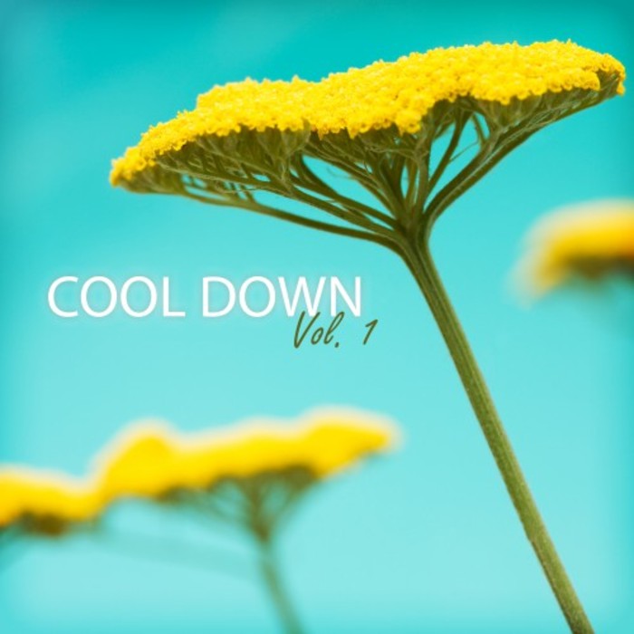 VARIOUS - Cool Down Vol 1