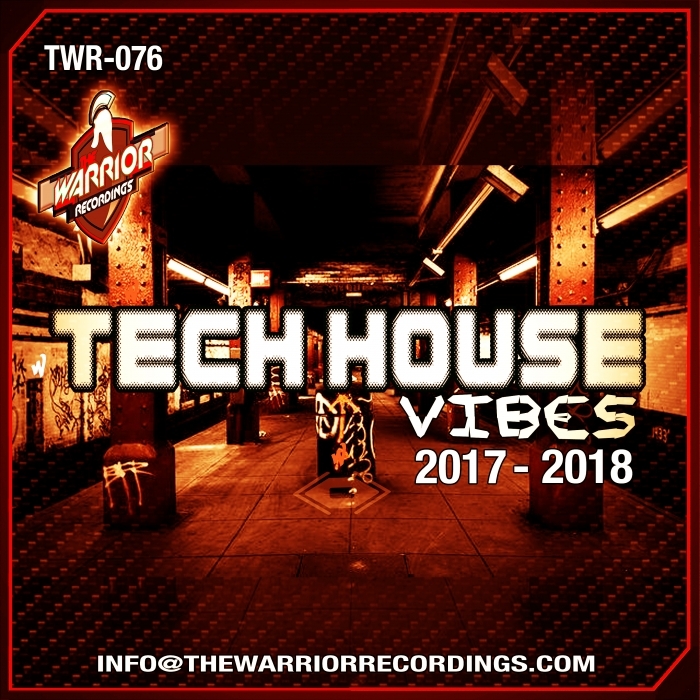 VARIOUS - Tech House Vibes 2017-2018