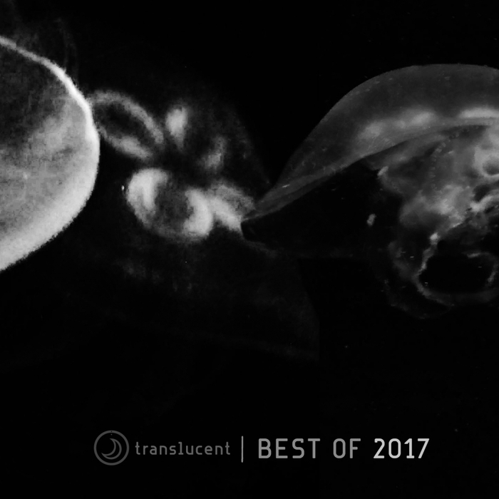 VARIOUS - Translucent (Best Of 2017)