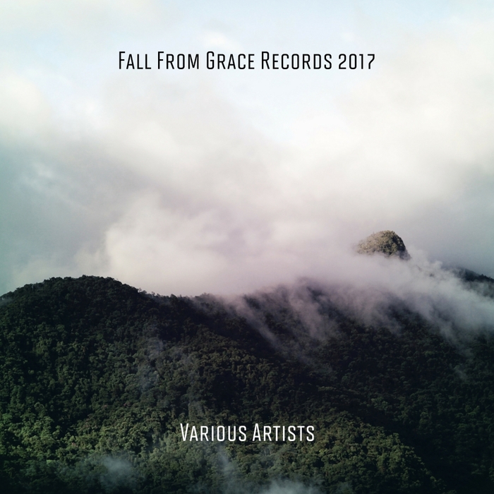 VARIOUS - Vault 2017