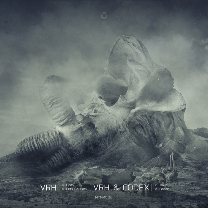 VRH & CODEX - Gods EP