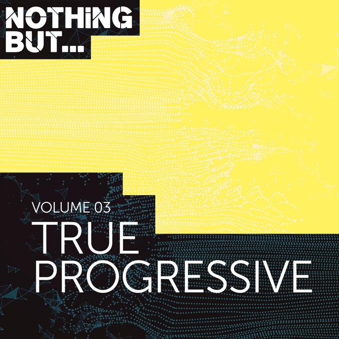 VARIOUS - Nothing But... True Progressive Vol 03
