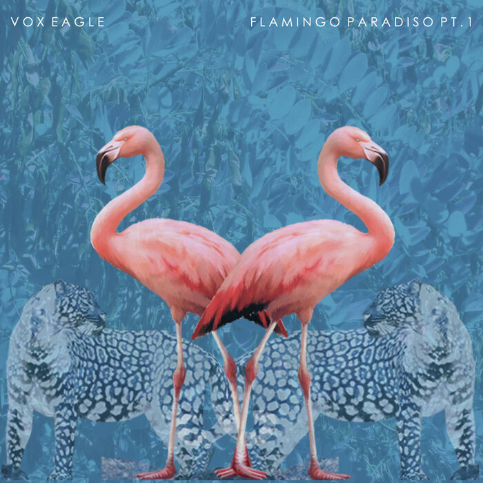 VOX EAGLE - Flamingo Paradiso Part 1