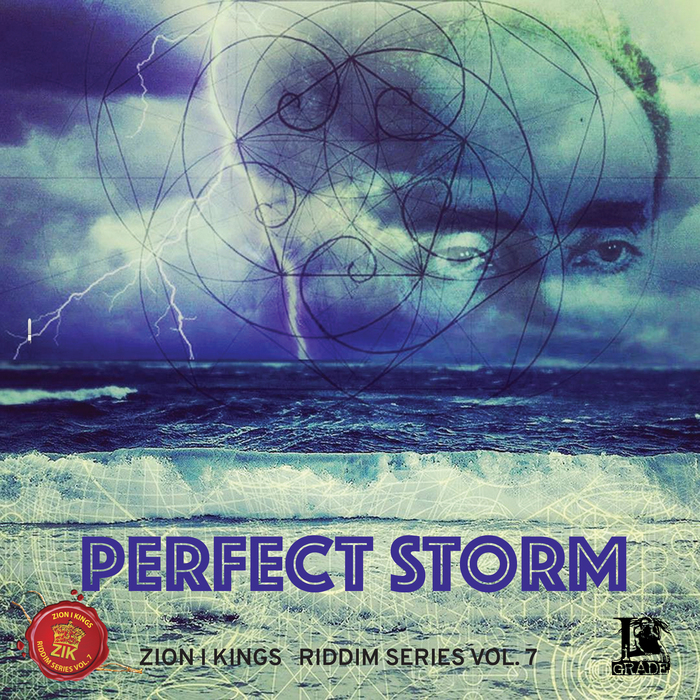 VARIOUS - Perfect Storm
