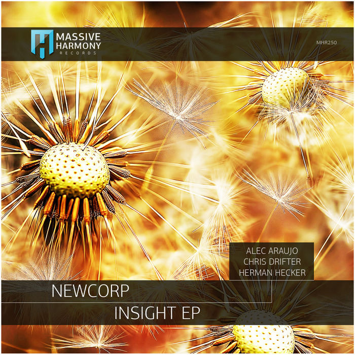 NEWCORP - Insight