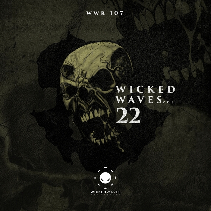 VARIOUS - Wicked Waves Vol 22