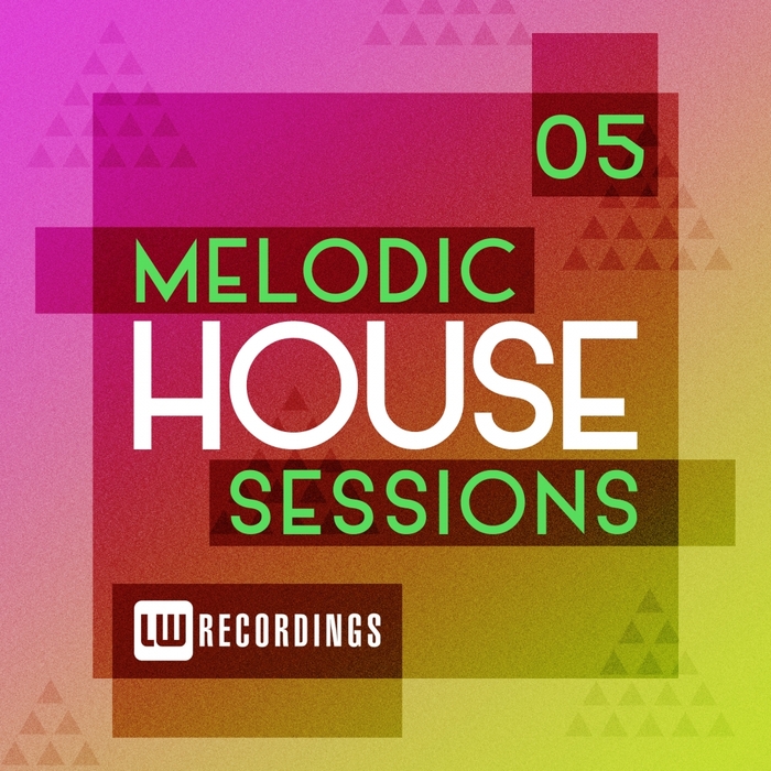 VARIOUS - Melodic House Sessions Vol 05