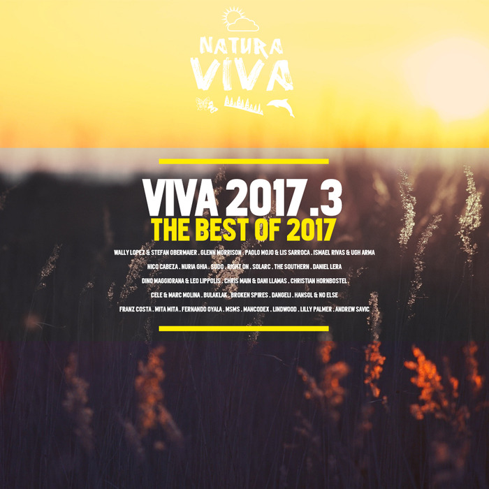 VARIOUS - Viva 2017.3