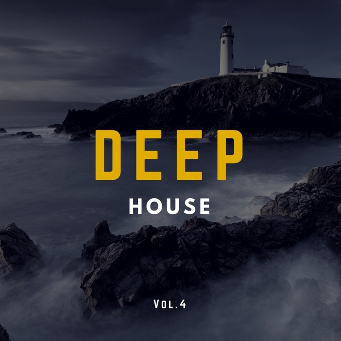 VARIOUS - Deep House Music Vol 4