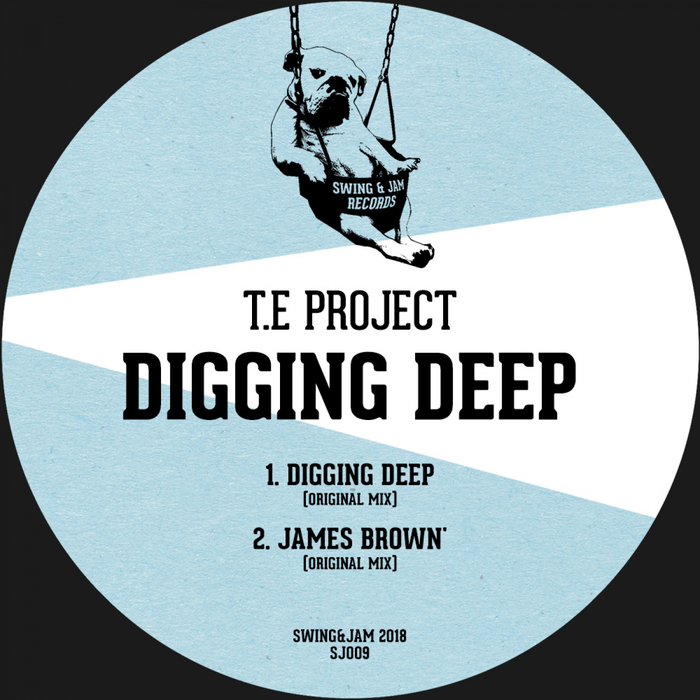 TE PROJECT - Digging Deep