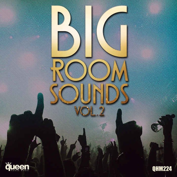 VARIOUS - Big Room Sounds Vol 2