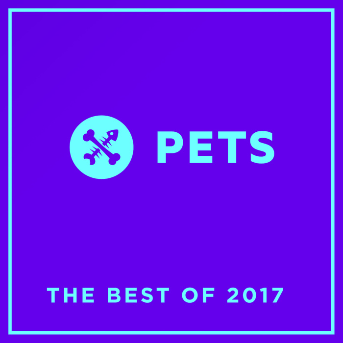 VARIOUS - PETS Recordings The Best Of 2017