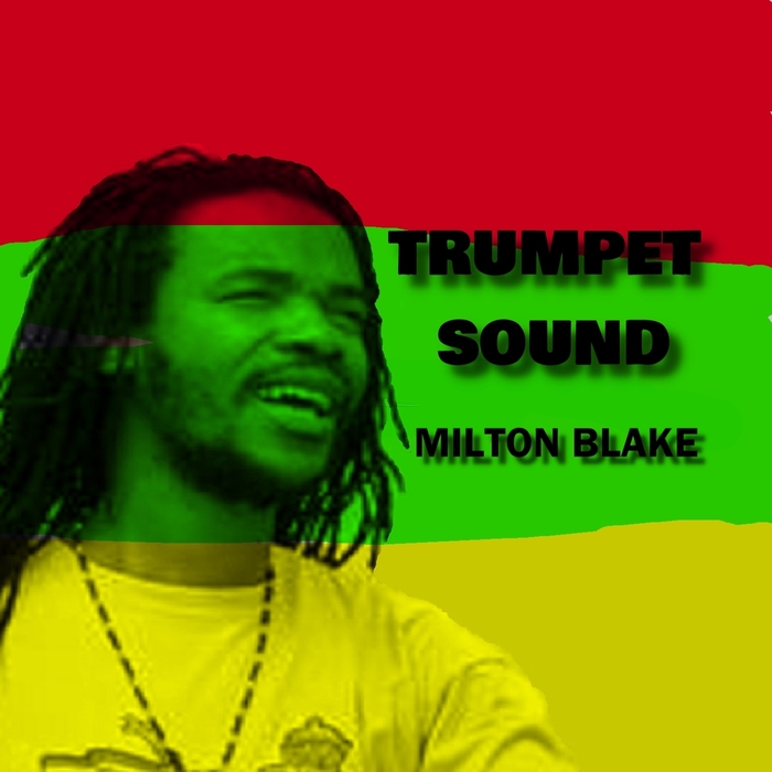 Trumpet Sound by Milton Blake on MP3, WAV, FLAC, AIFF & ALAC at Juno