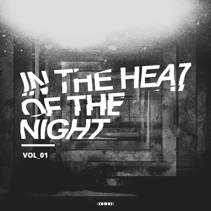 VARIOUS - In The Heat Of The Night Vol 1