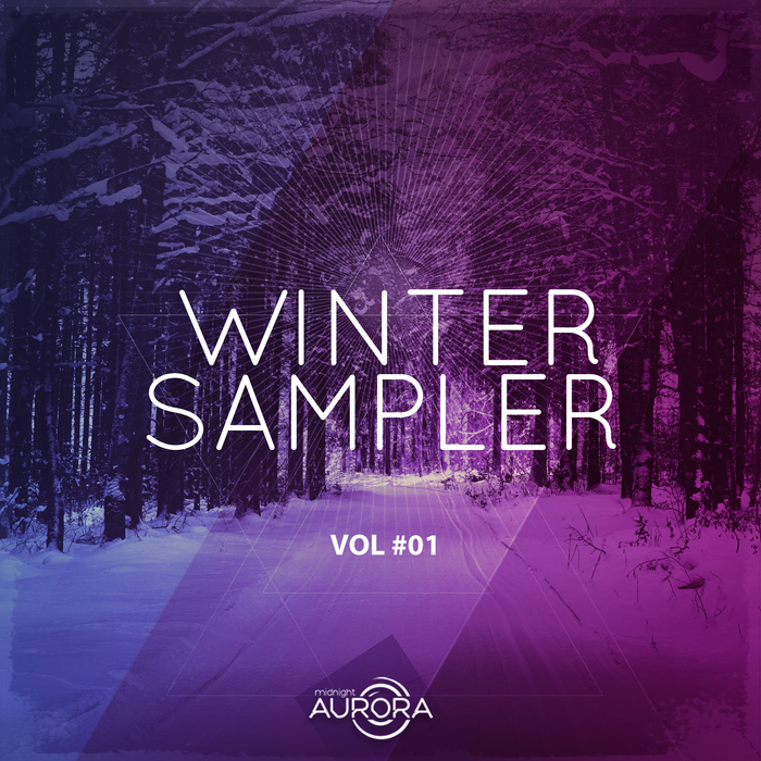 VARIOUS - Winter Sampler 01