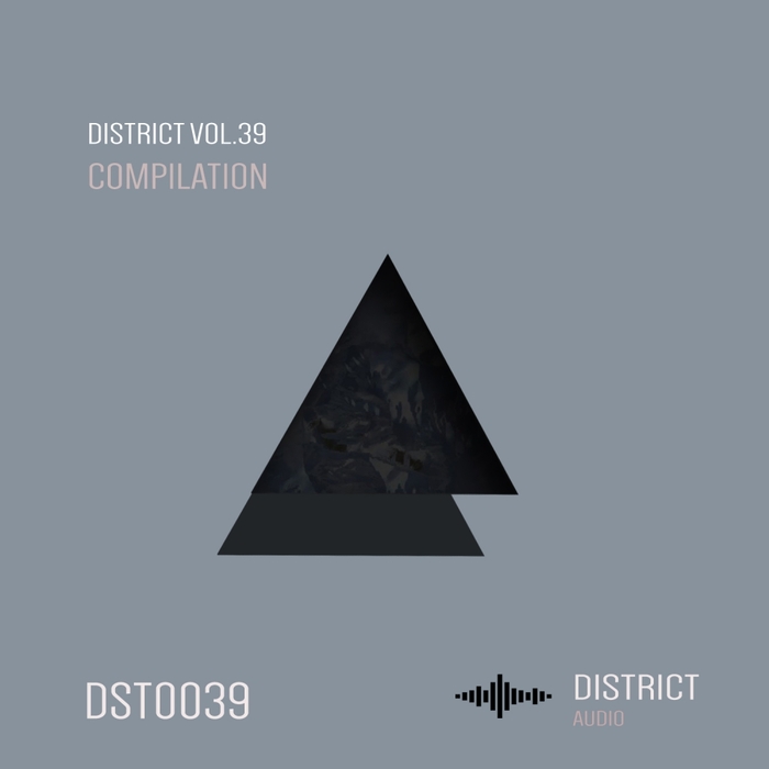 VARIOUS - District 39