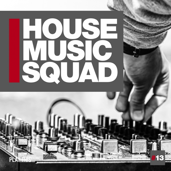 VARIOUS - House Music Squad #13