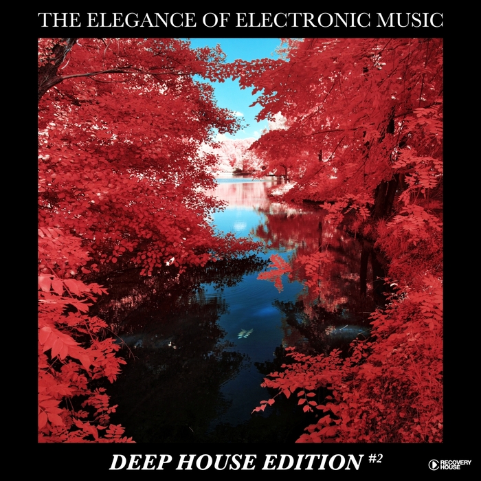 VARIOUS - The Elegance Of Electronic Music - Deep House Edition #2