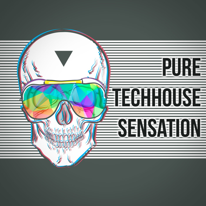 VARIOUS - Pure Techhouse Sensation
