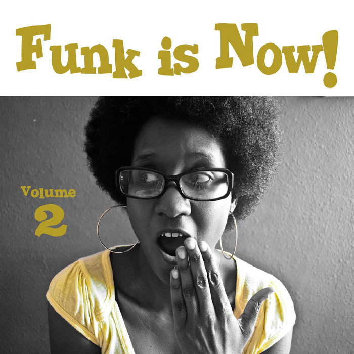 VARIOUS - Funk Is Now! Volume 2