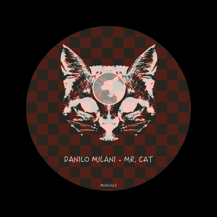 DANILO MILANI - Mr Cat