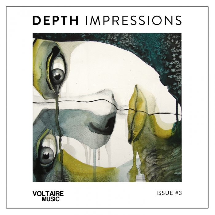 VARIOUS - Depth Impressions Issue #3