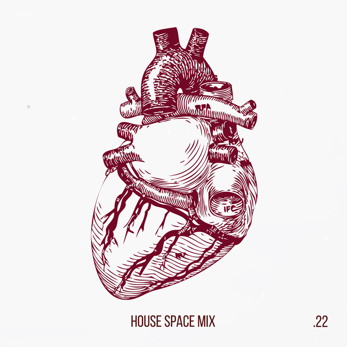 VARIOUS/BUNNY HOUSE - House Space Mix Vol 22