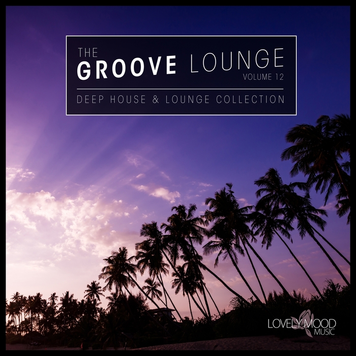 VARIOUS - The Groove Lounge Vol 12