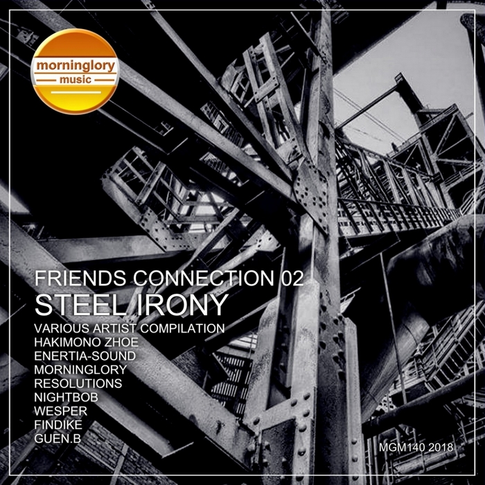 VARIOUS - Friends Connection Vol 2 Steel Irony