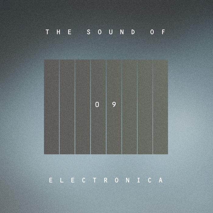 VARIOUS - The Sound Of Electronica Vol 09