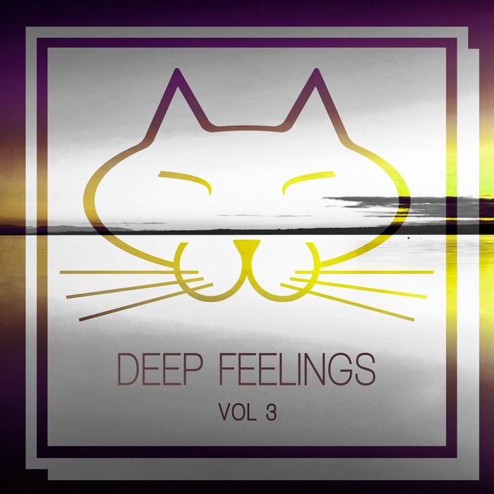 VARIOUS - Deep Feelings Vol 3
